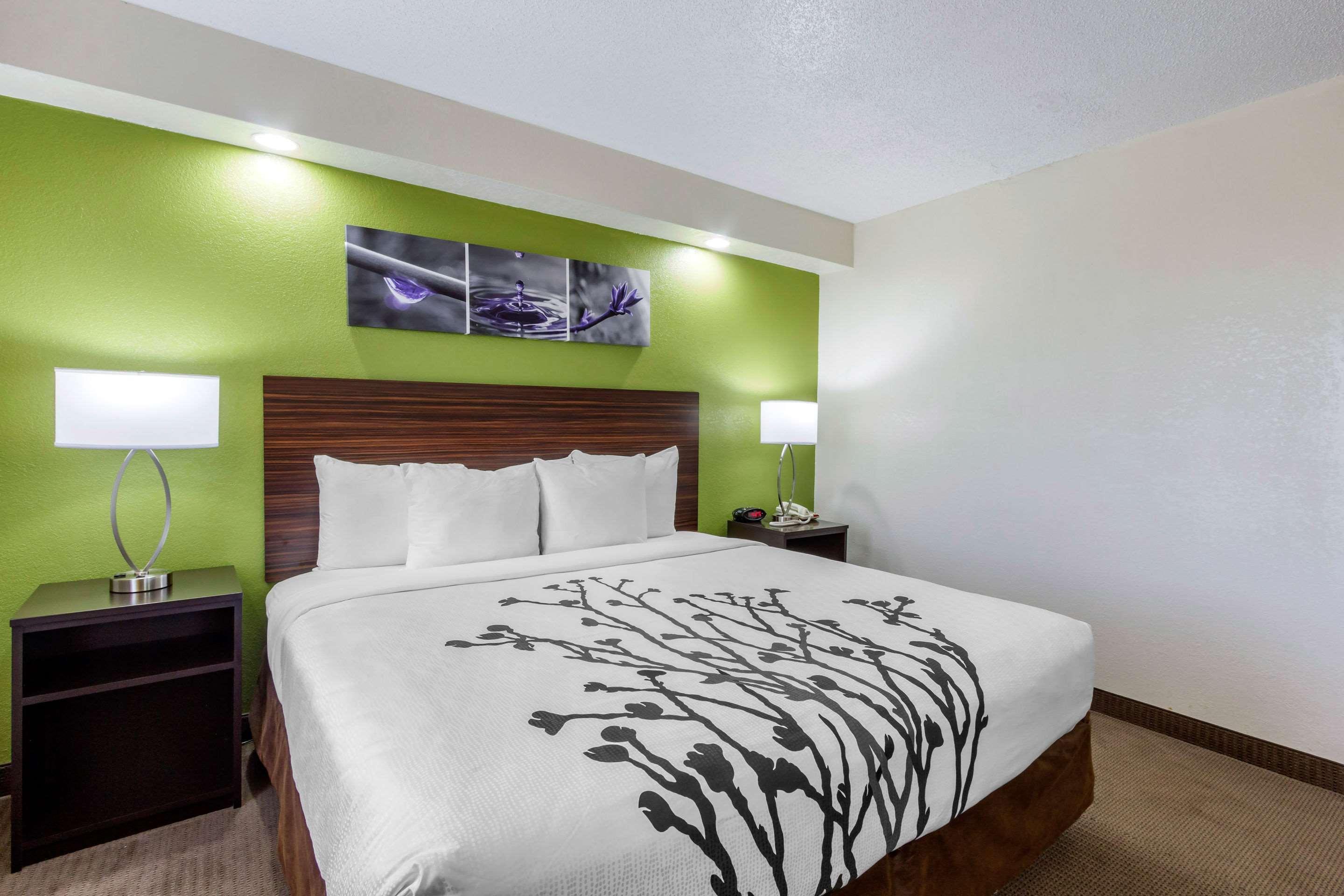Sleep Inn Near Busch Gardens - Usf Temple Terrace Luaran gambar
